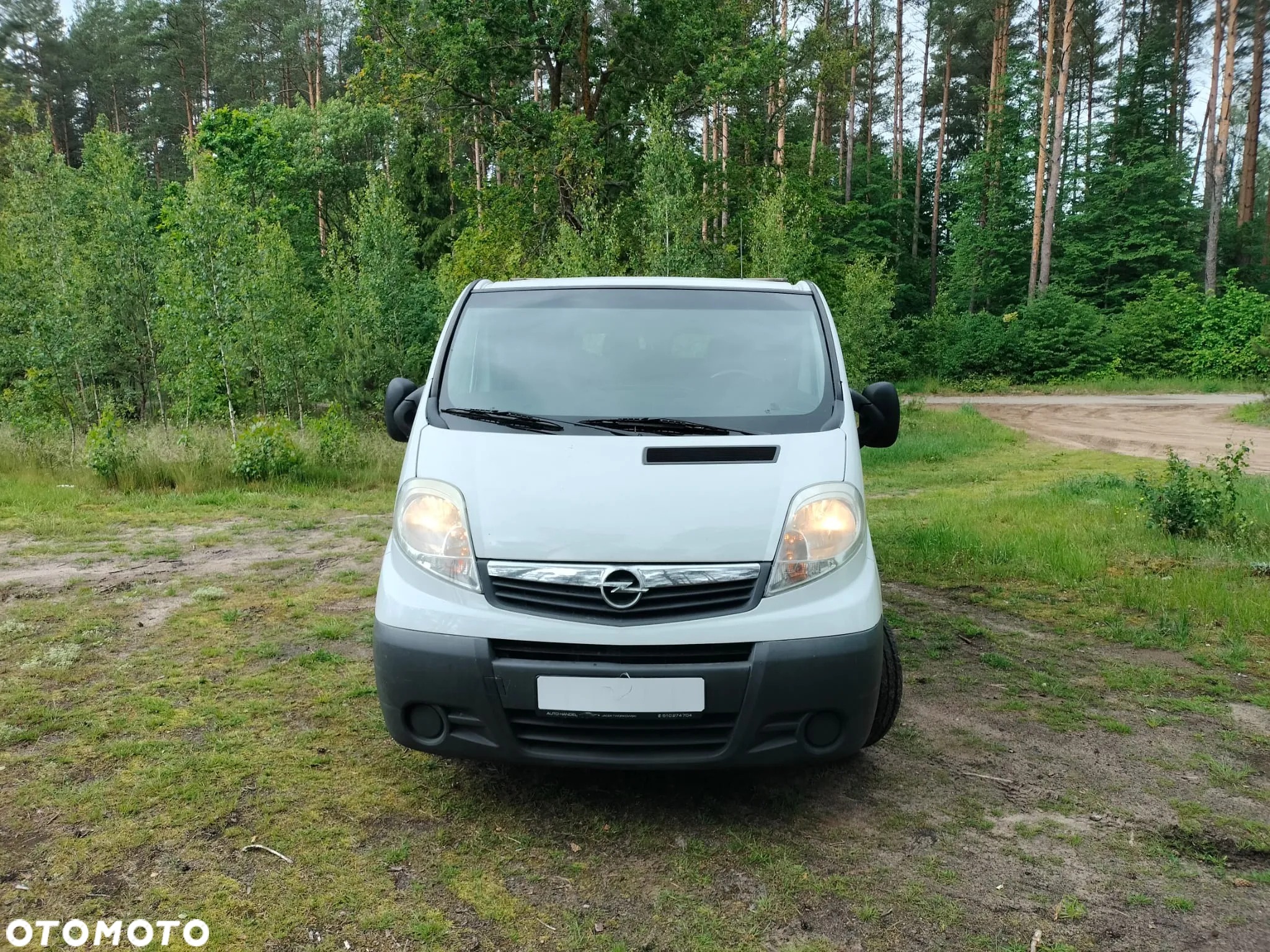 Renault trafic - 10