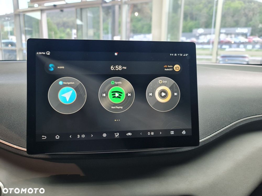 BYD Dolphin Surf - 19