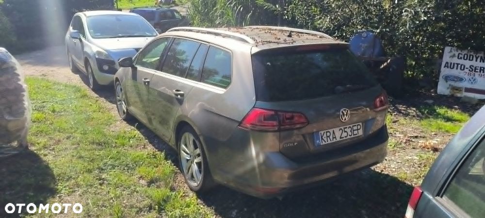 Volkswagen Golf - 1
