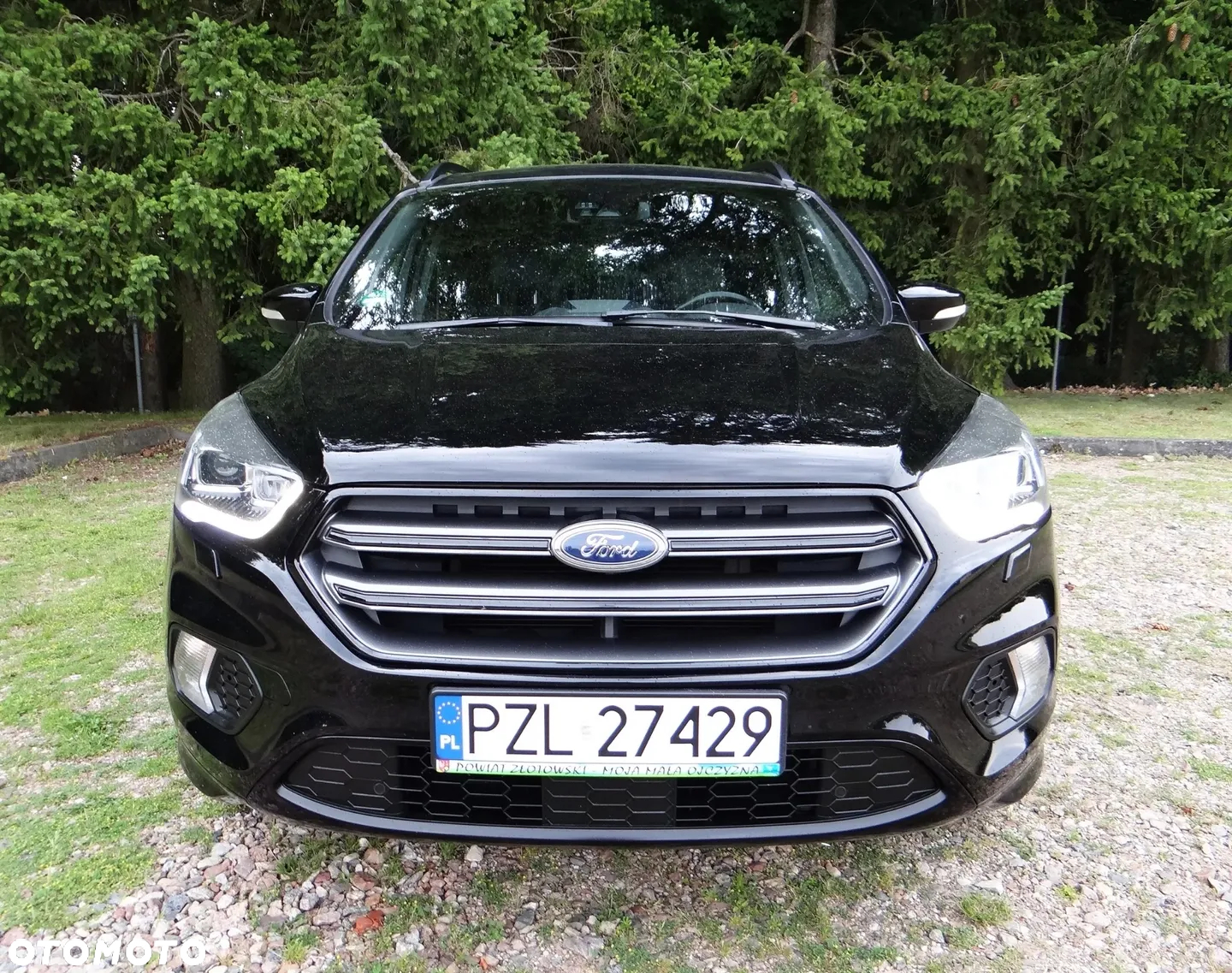 Ford Kuga 1.5 EcoBoost 4x4 ST-Line - 4