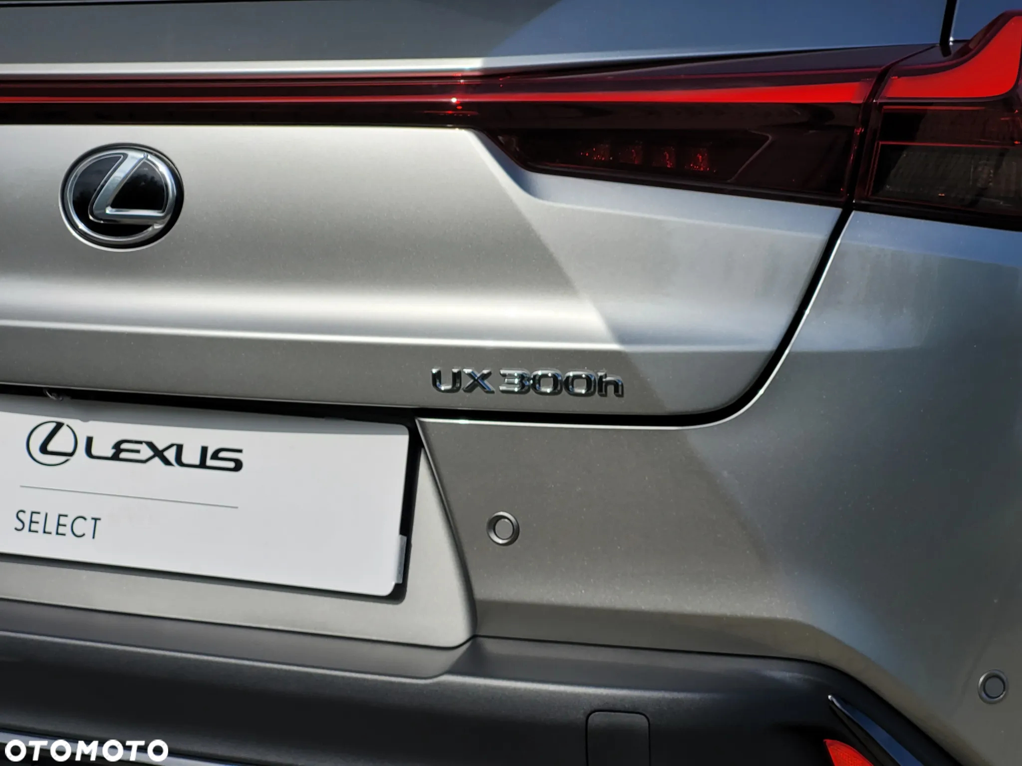 Lexus UX 300h F Sport Design - 11