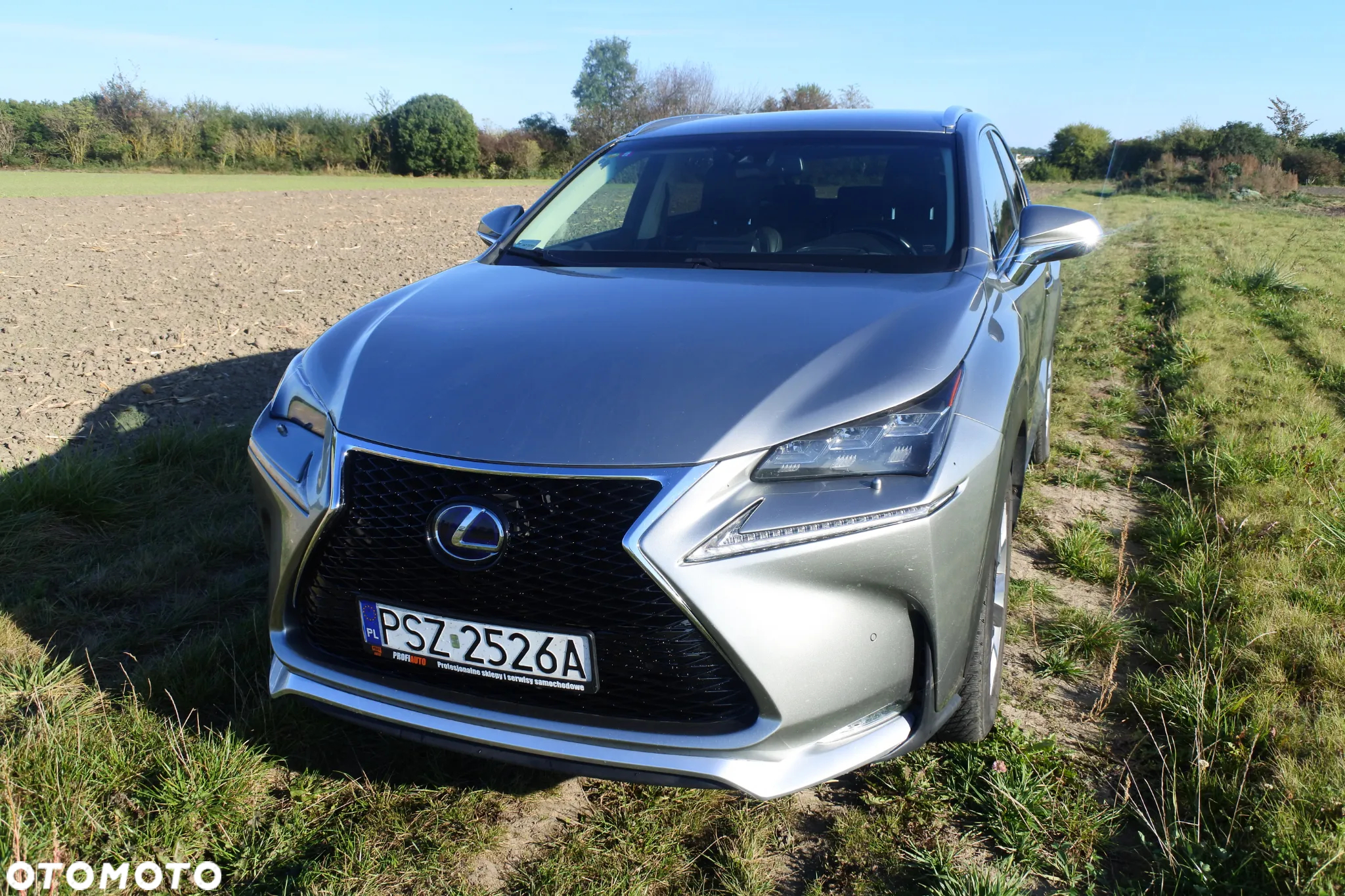 Lexus NX - 19
