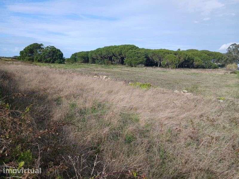 Terreno Industrial – 14.000 m² – Terrugem, Sintra - Grande imagem: 3/12