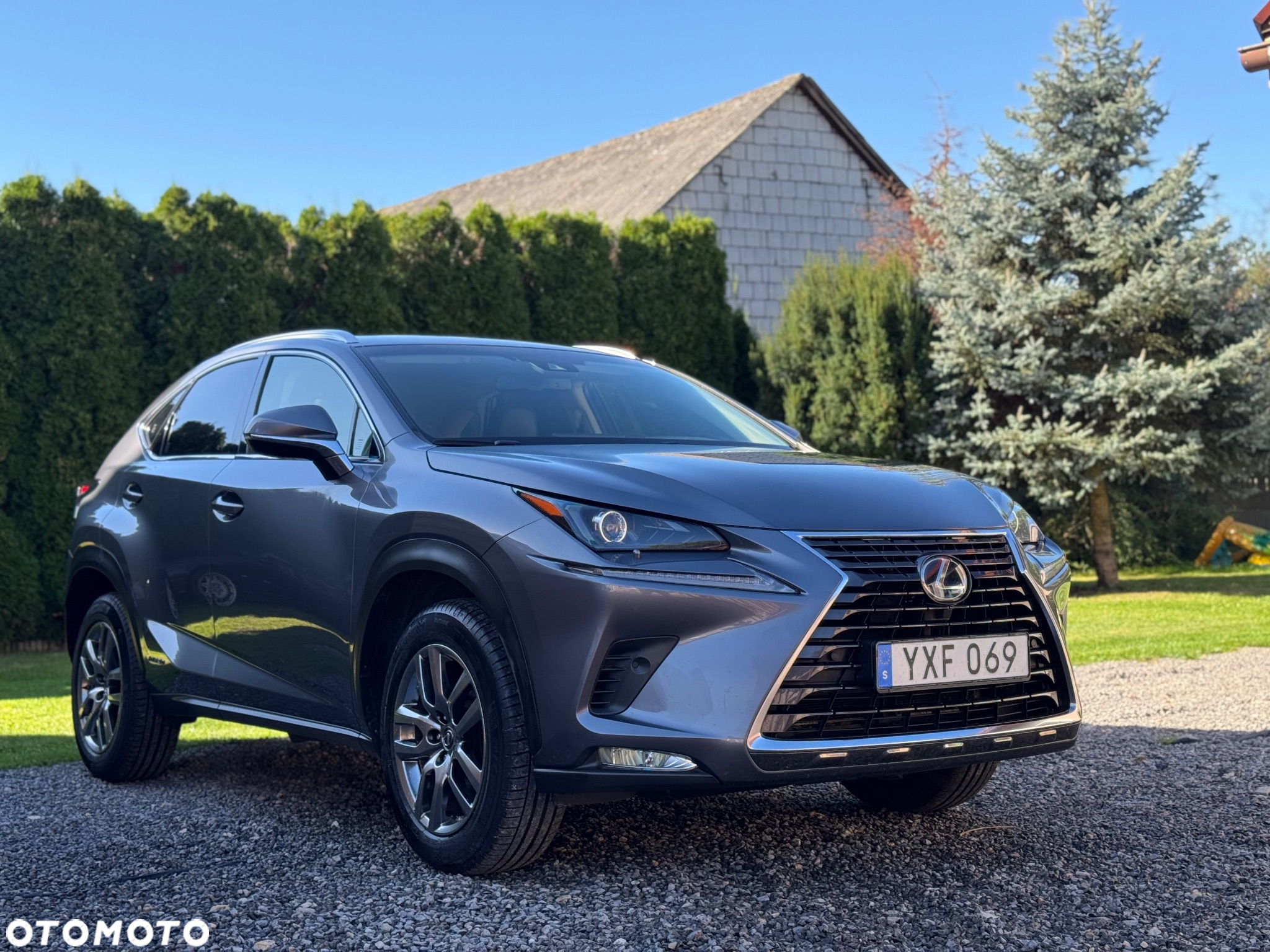 Lexus NX 350h F Sport AWD - 5