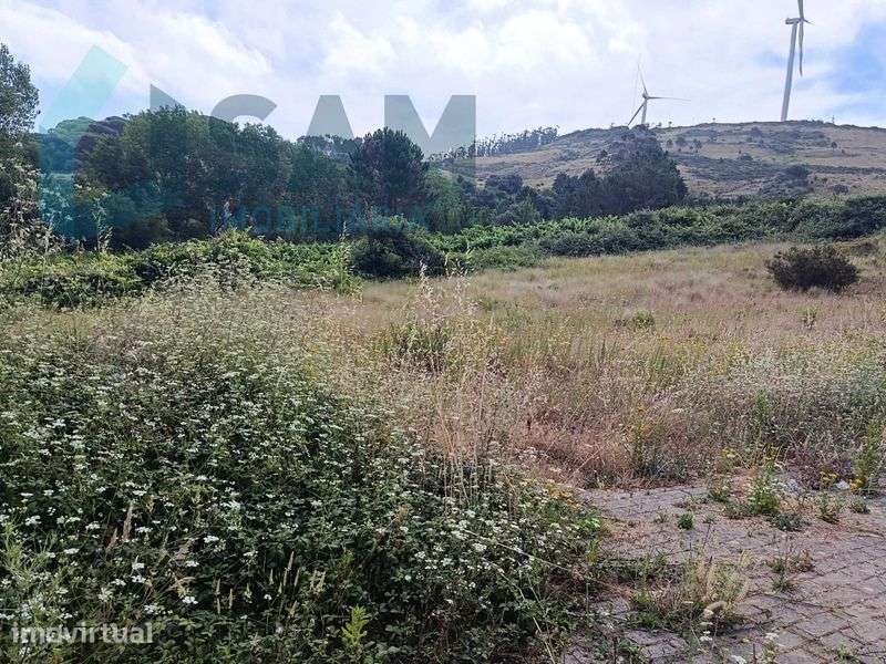 Oportunidade ÚNICA VENDE-SE TERRENO MONTE REDONDO TORRES VEDRAS - Grande imagem: 4/5