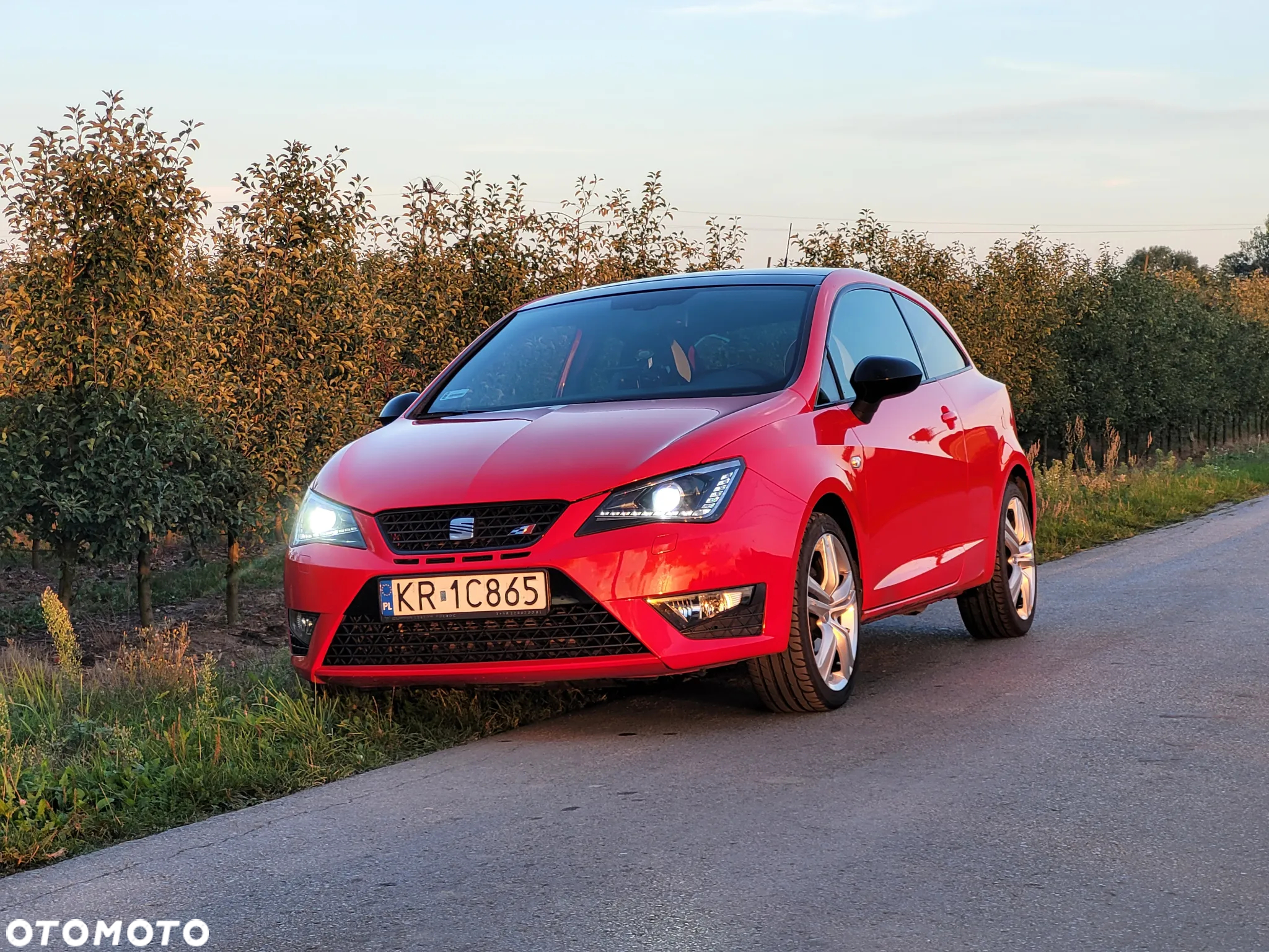Seat Ibiza SC 1.4 TSI Cupra DSG - 2