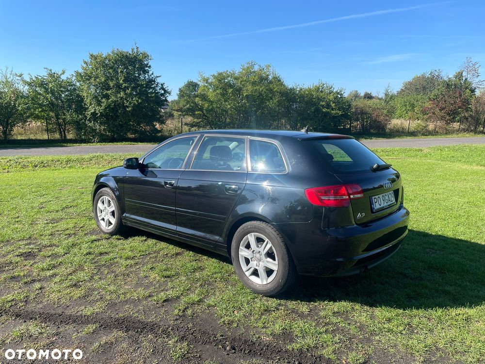 Audi A3 1.6 TDI DPF Ambiente - 24