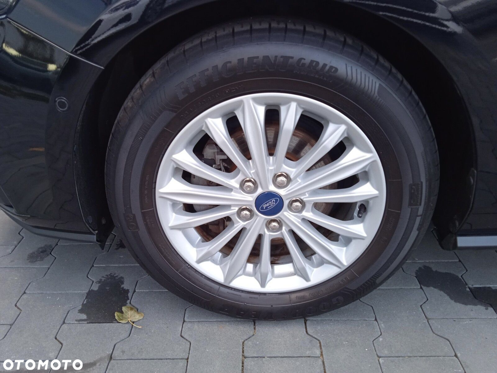 Ford Focus - 29