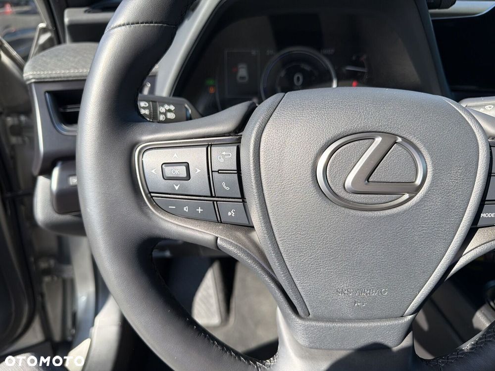 Lexus UX 250h GPF Business 2WD - 24