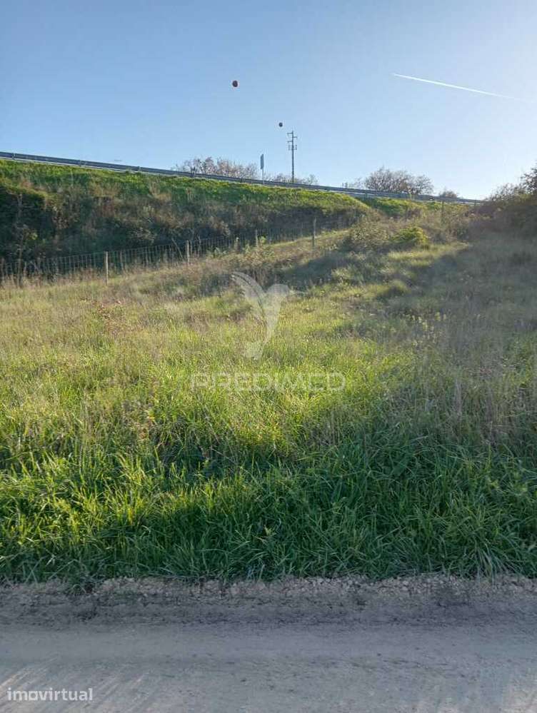 Terreno Rustico - Ribeira de Baixo, Porto de Mós - Grande imagem: 3/4