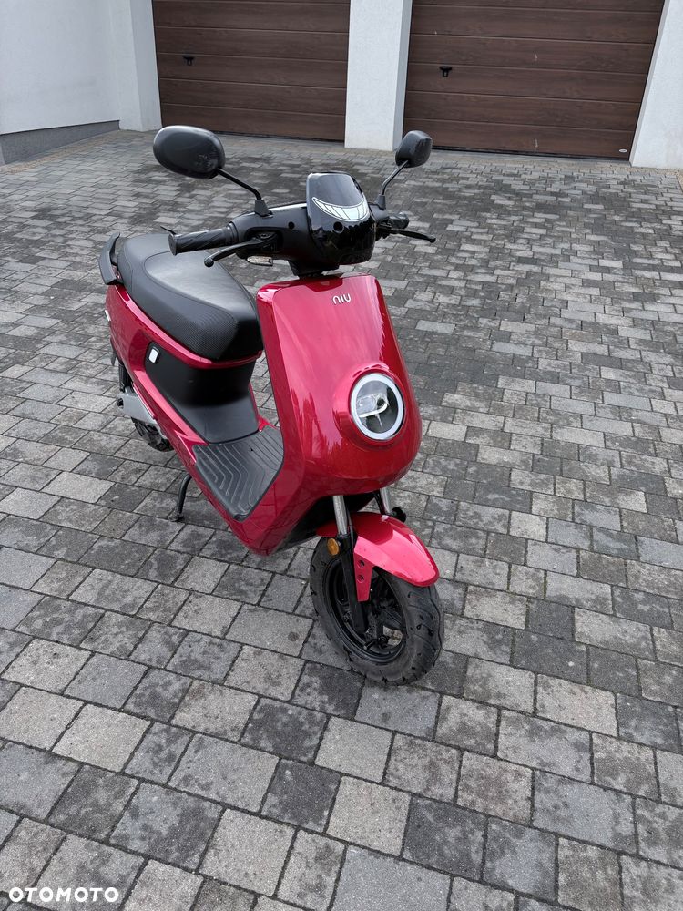 Niu M+ - 5