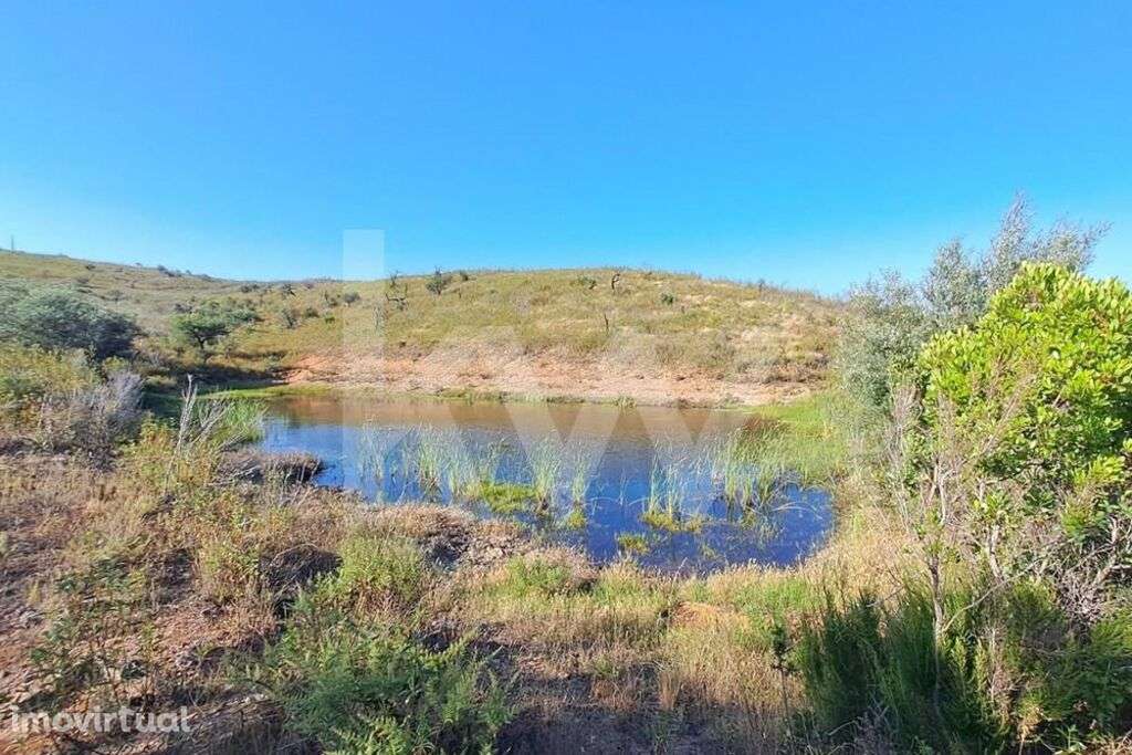 Terreno Rústico com Barragem e 63ha sito na Vinha Velha - Grande imagem: 5/7