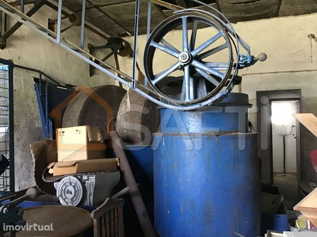 Terreno de 7.650m2 com lagar, inserido na Zona construível de Abrantes - Grande imagem: 5/17