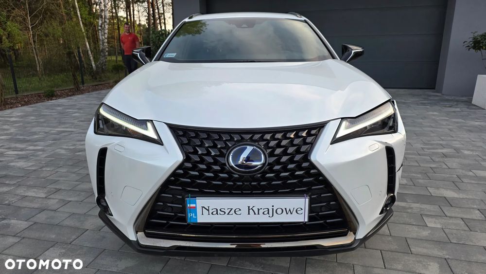 Lexus UX 250h GPF F Impression 2WD - 14