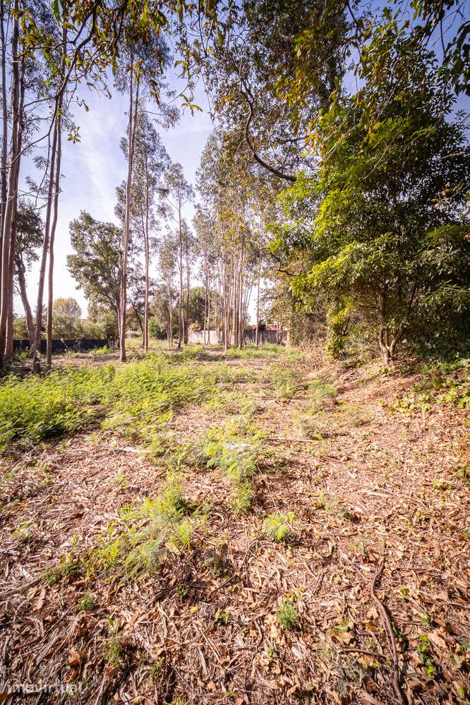 Terrenos para Venda na Urbanização das Brévias – Paços de Brandão - Grande imagem: 4/4