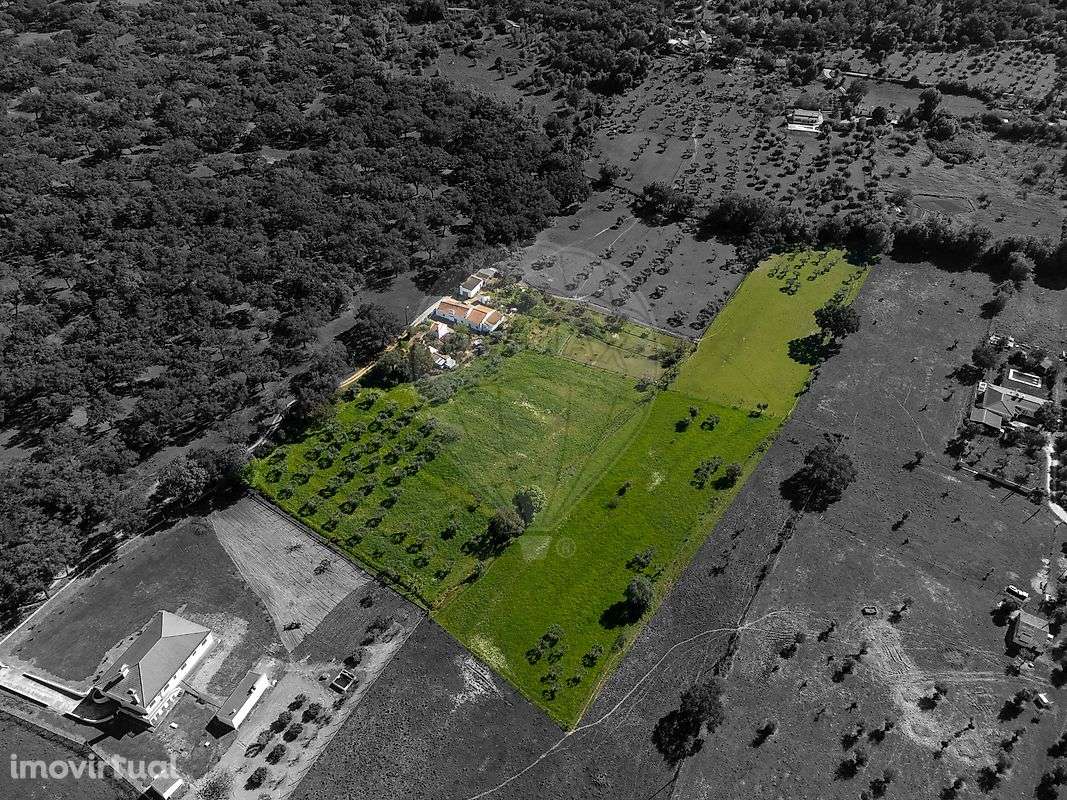 Quinta T6 para venda - Grande imagem: 3/37
