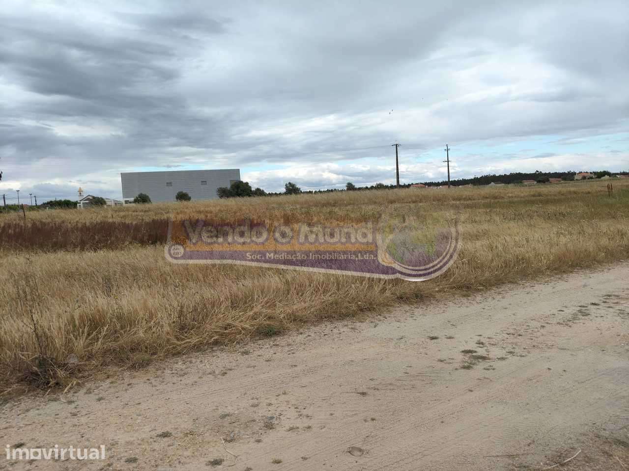 Terreno na Barrosa (BARR012) - Grande imagem: 2/9