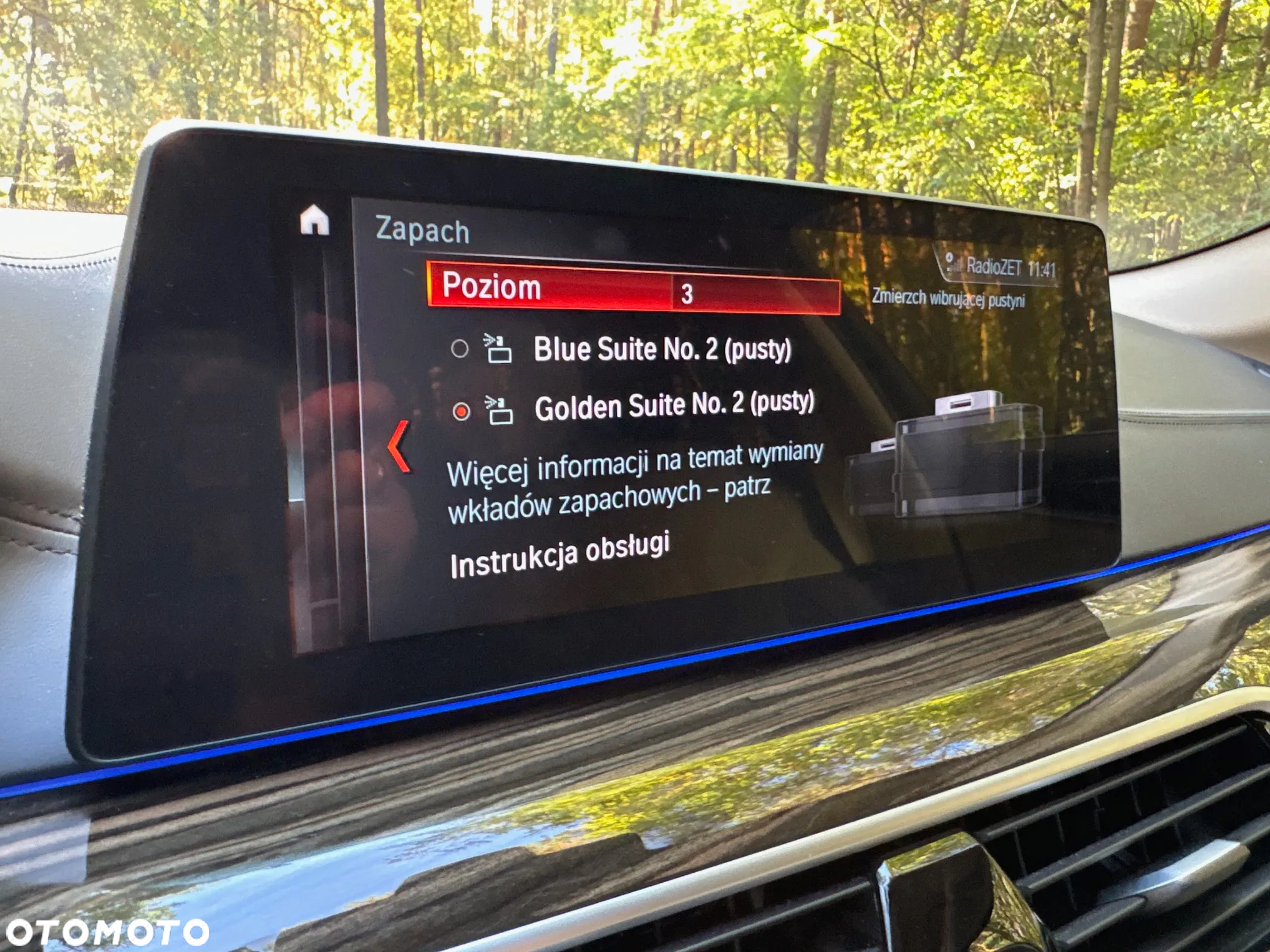 BMW Seria 5 520d xDrive Luxury Line - 30