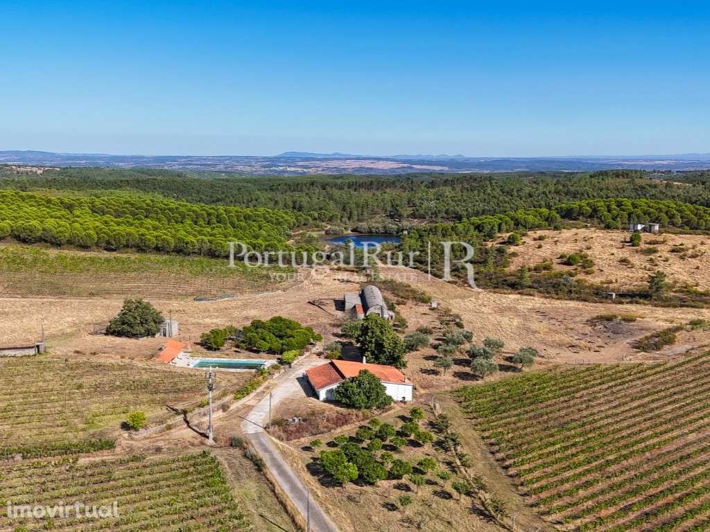 Herdade Vinícola com 33ha e adega equipada perto de Castelo Branco - Grande imagem: 2/60