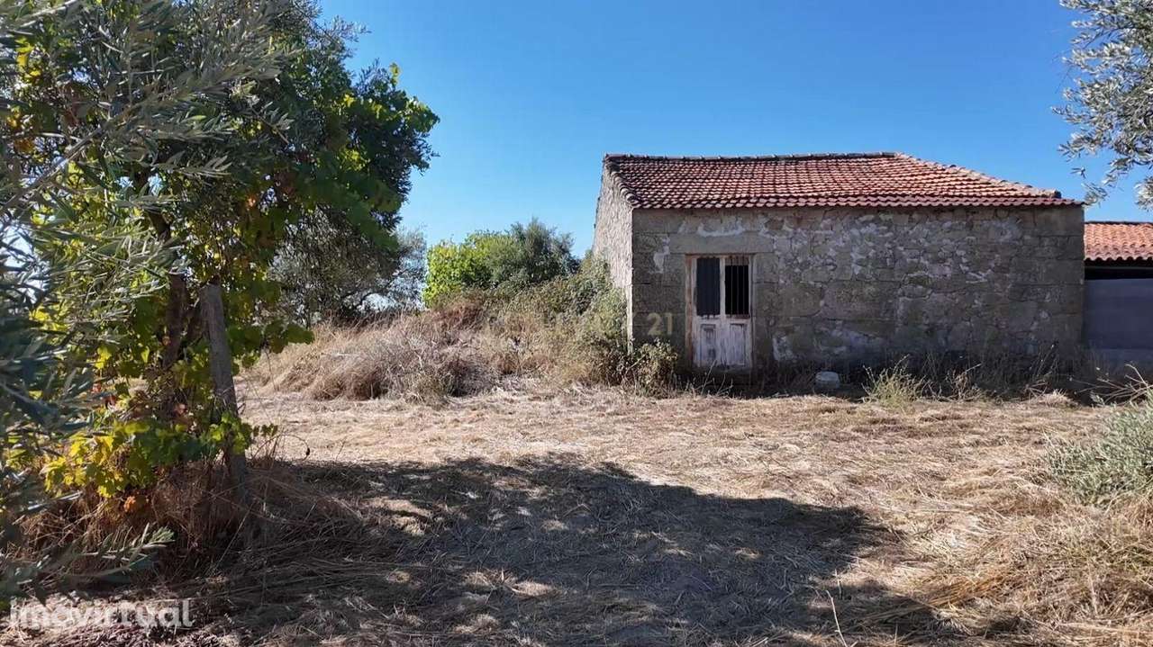 Oportunidade de negócio! Terreno rústico 2,7ha Alcains, Castelo Branco - Grande imagem: 2/8