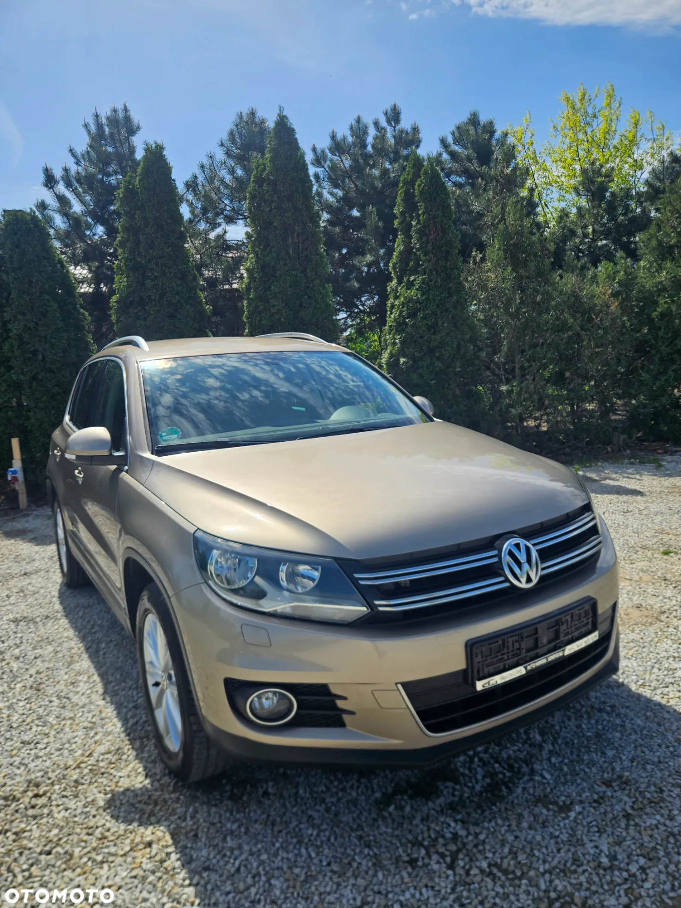 Volkswagen Tiguan 2.0 TDI CityStyle - 2