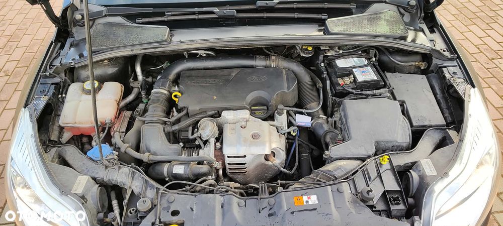 Ford Focus - 23