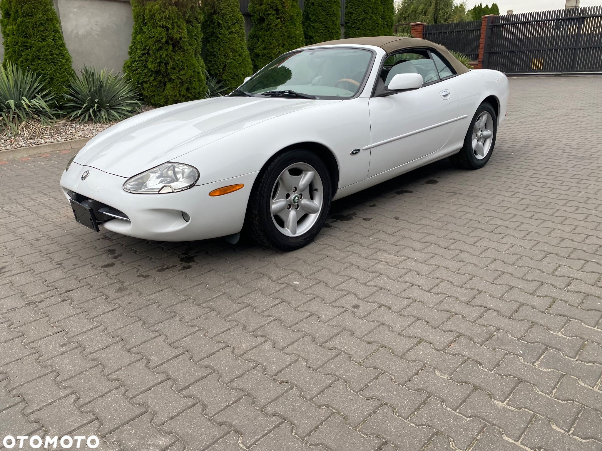 Jaguar XK8 4.2 - 16