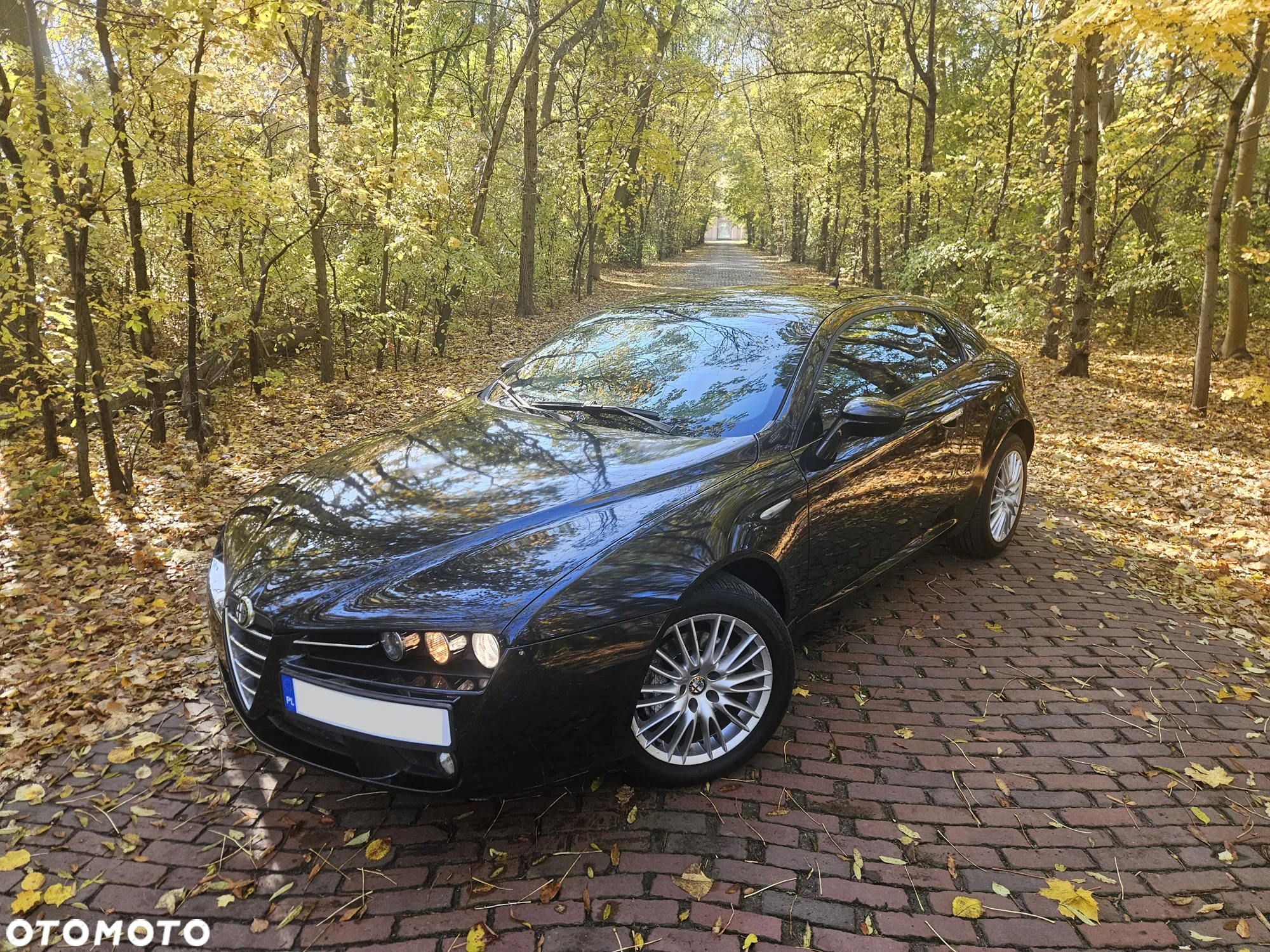 Alfa Romeo Brera 2.0JTDM - 2