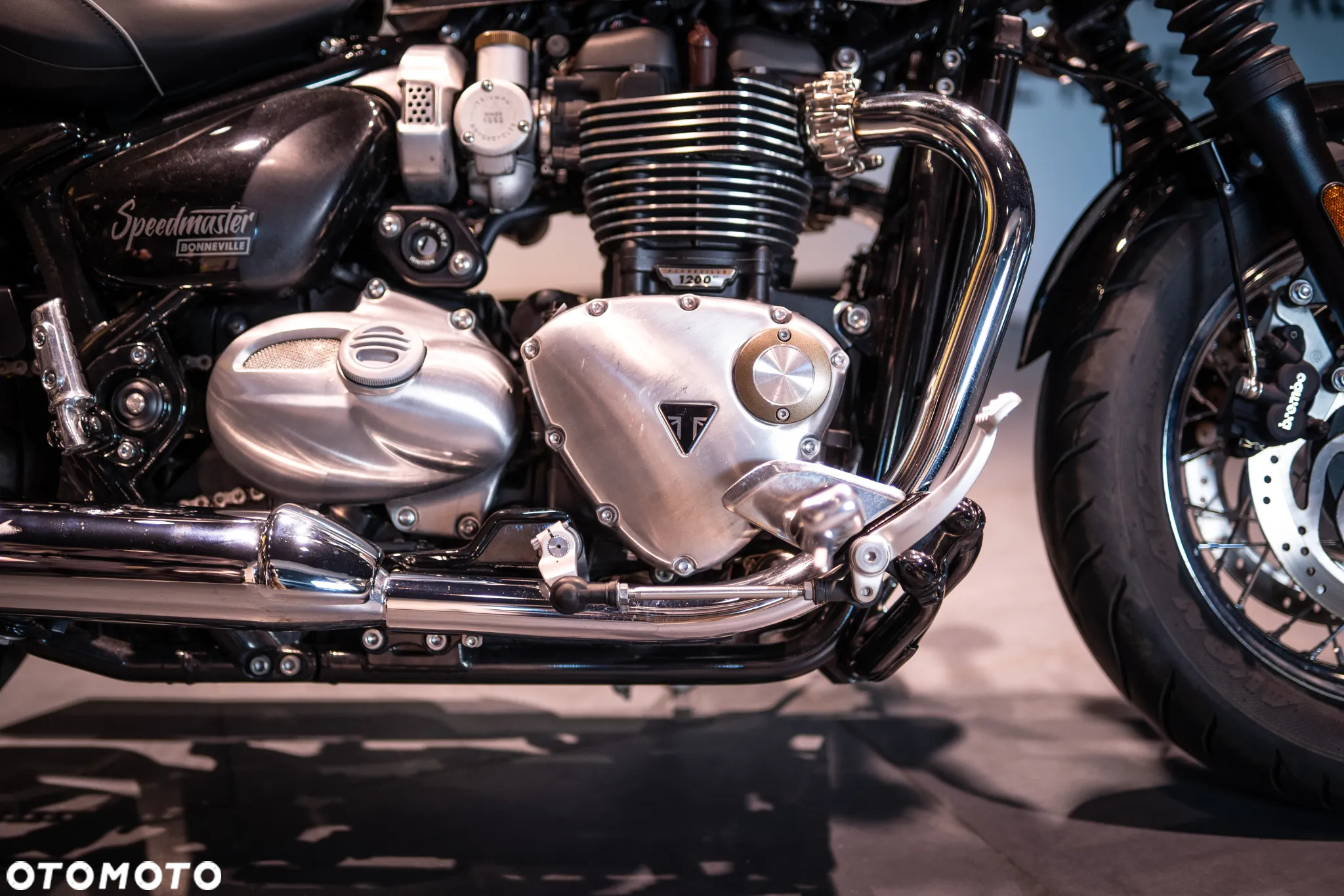 Triumph Speedmaster - 16