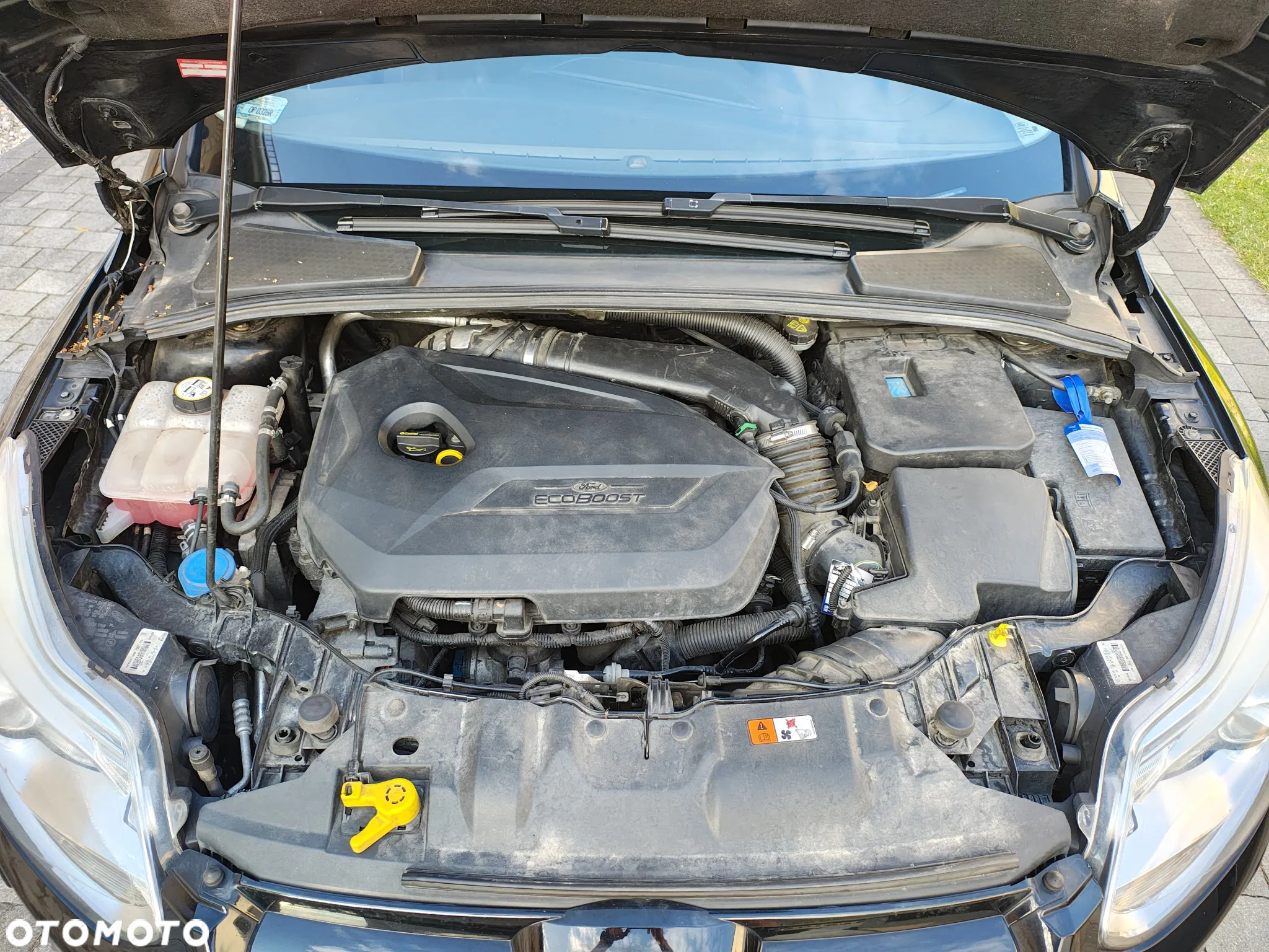 Ford Focus 1.6 EcoBoost Titanium - 16