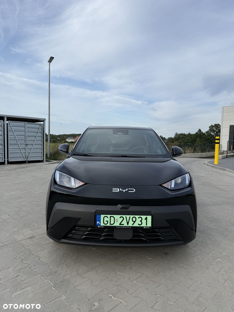 BYD Dolphin Surf Boost - 18