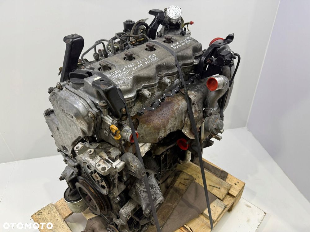 SILNIK KOMPLETNY Nissan X-Trail 2.2 DCI 136KM 2 piny diesel YD22 YD22DDTI - 15