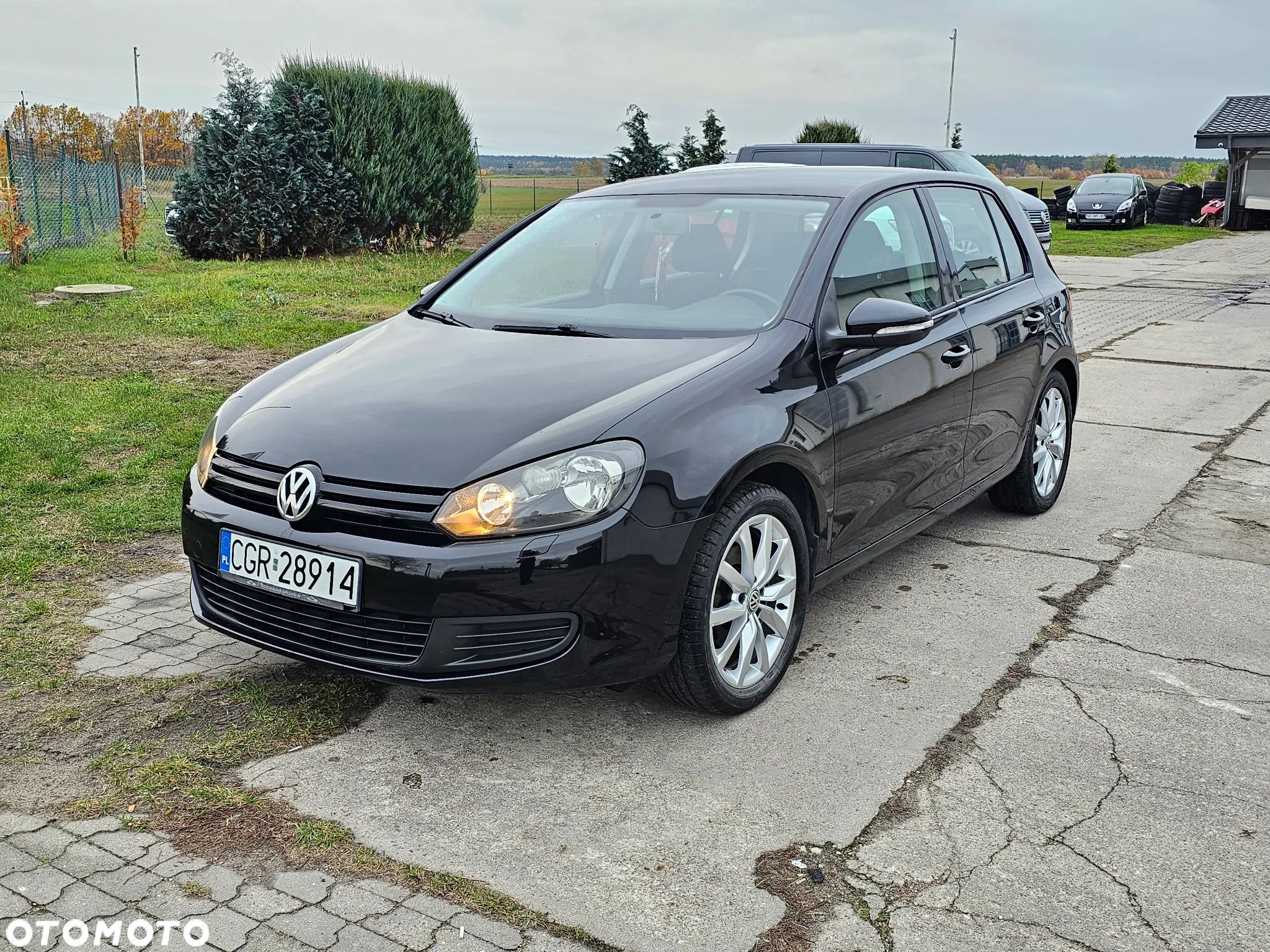 Volkswagen Golf - 1