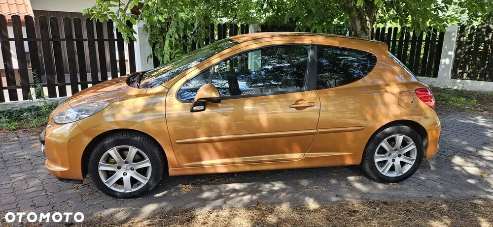 Peugeot 207 - 11