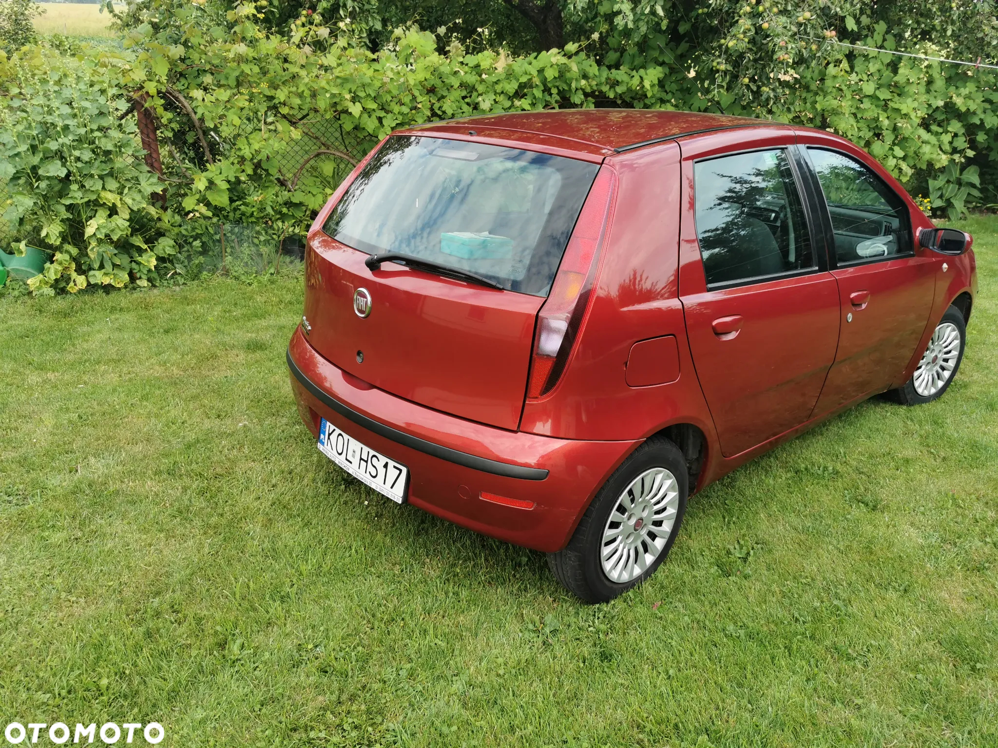 Fiat Punto 1.2 8V Classic - 6
