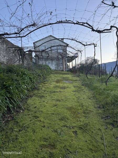 Quinta Douro Cambres N226 - Grande imagem: 2/12
