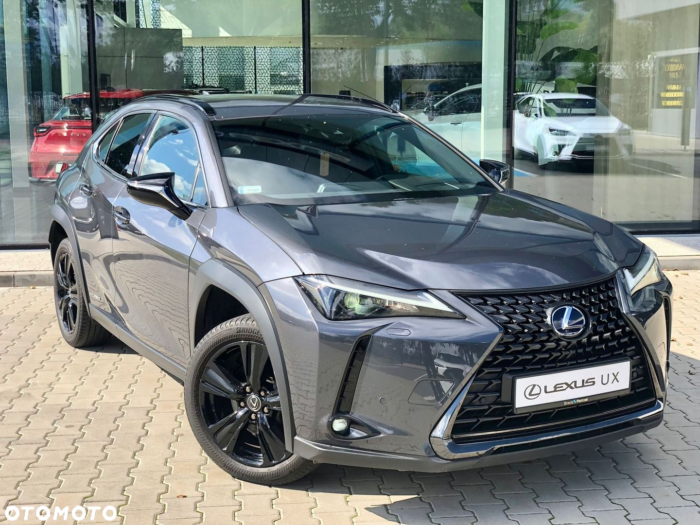 Lexus UX 250h GPF F Impression 2WD - 10