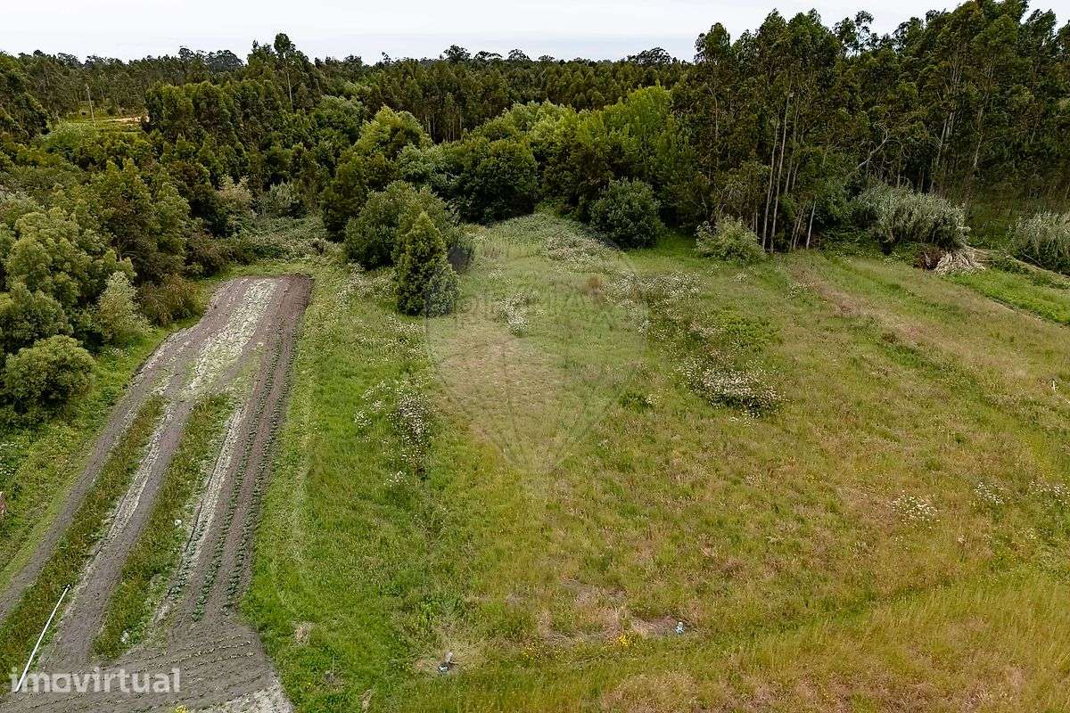 Terreno  para venda - Grande imagem: 5/5