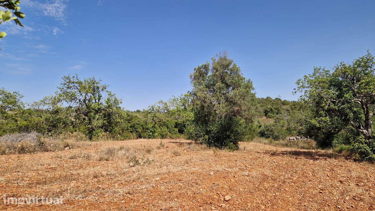 Terreno, 6 000 m², Paderne - Grande imagem: 4/11