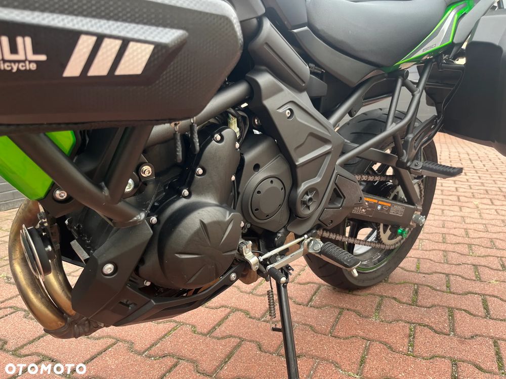 Kawasaki Versys 650 - 12