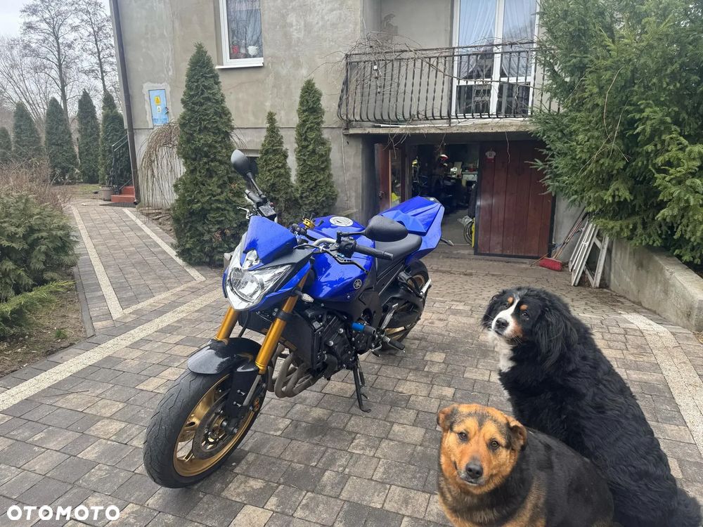 Yamaha FZ8 - 1