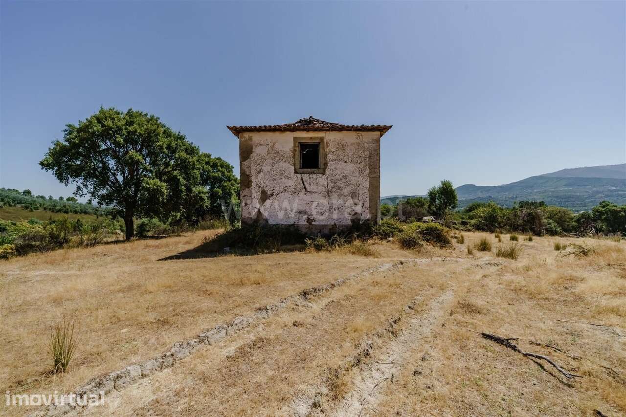 Quinta / Fundão, Freixial - Grande imagem: 5/20