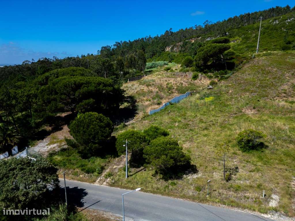 Terreno para construção em zona urbanizável-Famalicão-Nazaré - Grande imagem: 4/8