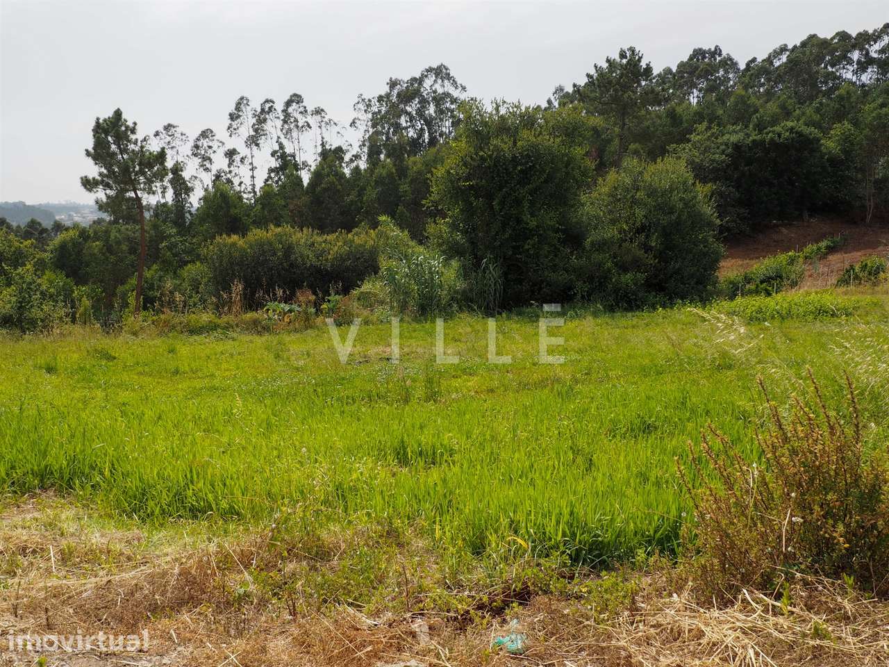 Terreno com viabilidade de Construção - Grande imagem: 3/53