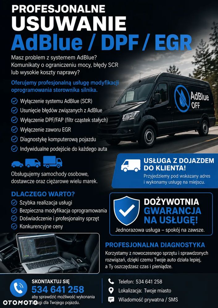 Profesjonalne usuwanie AdBlue / DPF / EGR - 1