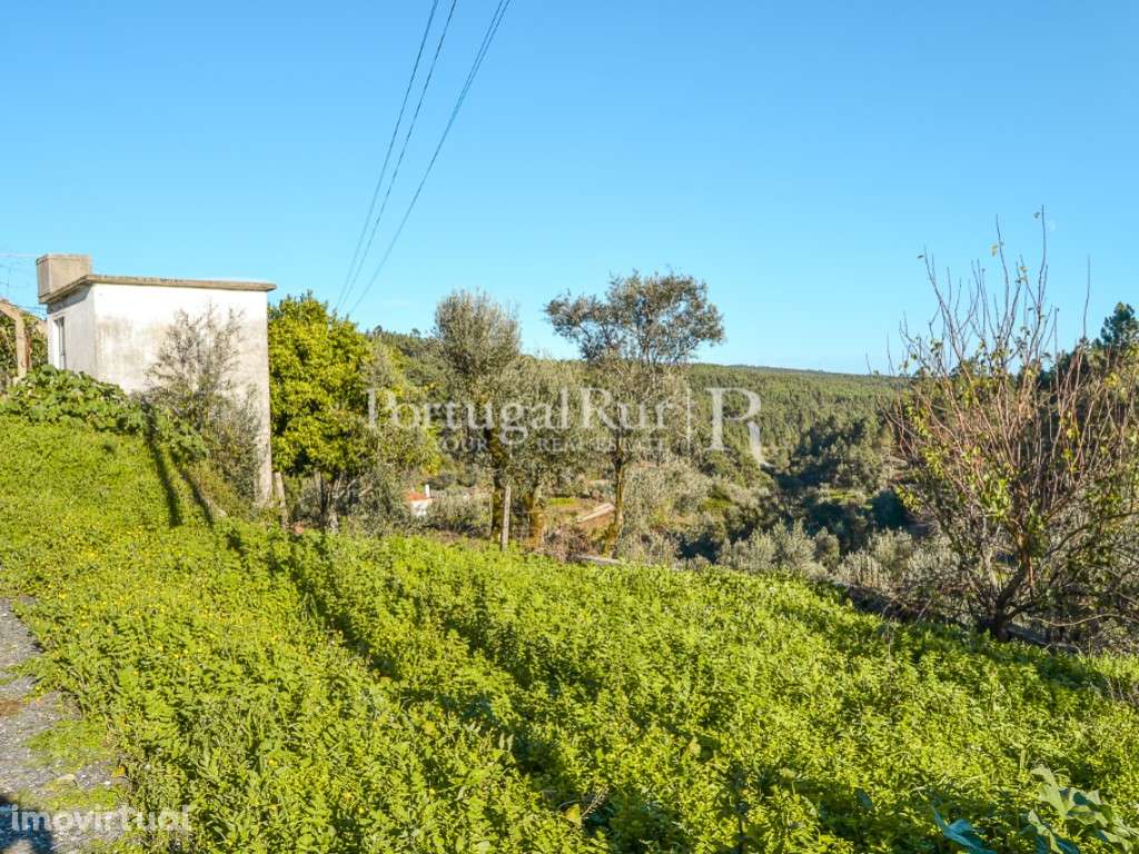 Lote de terreno com 1.600 m², para construção de moradia - Grande imagem: 5/19