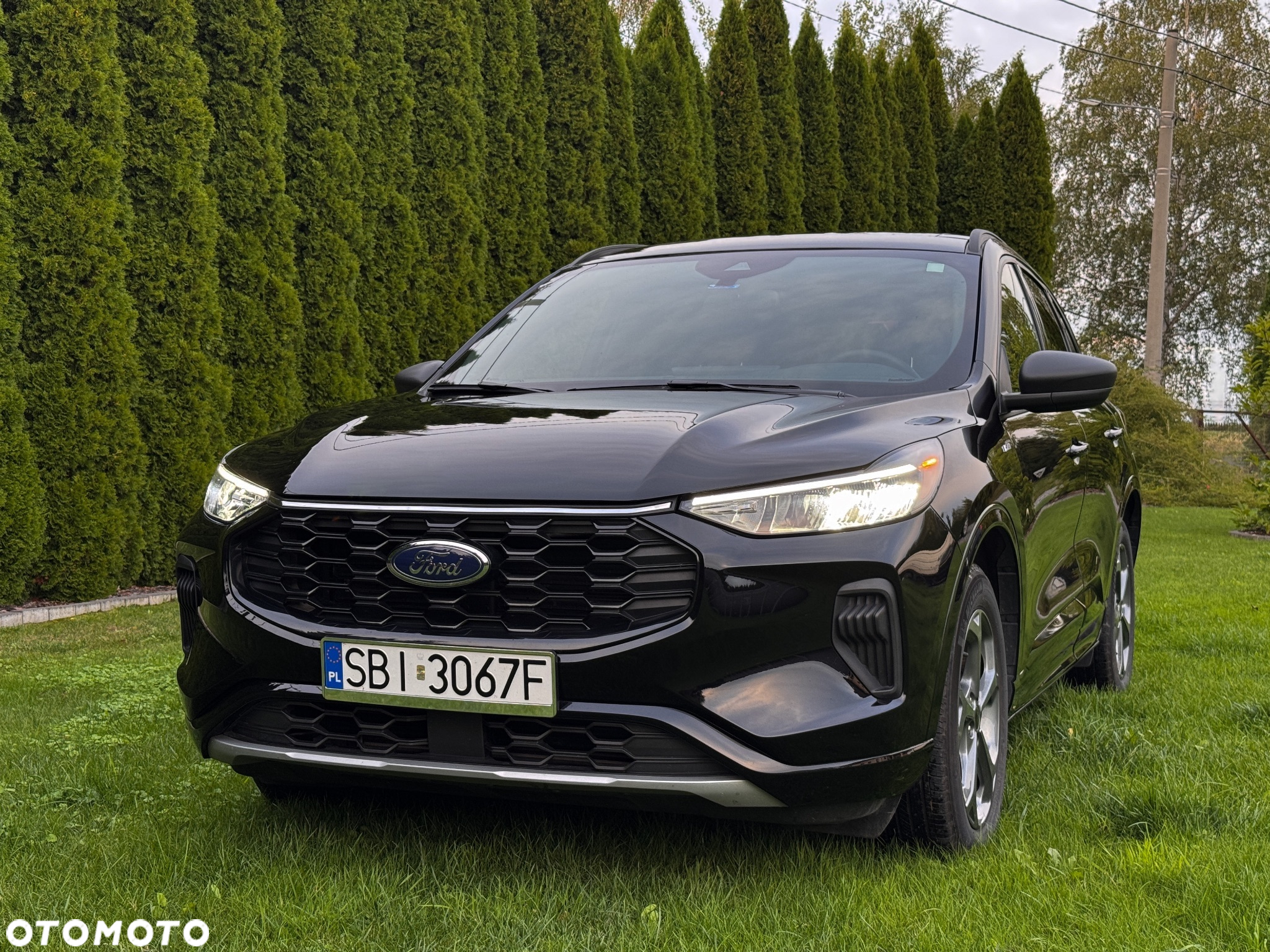 Ford Escape - 3