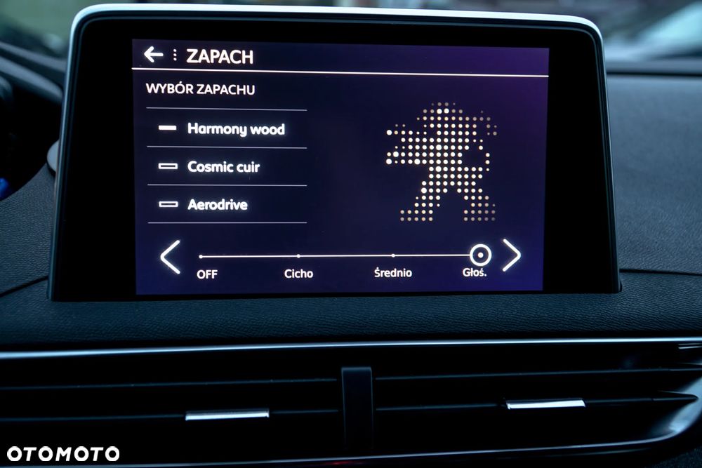 Peugeot 3008 1.6 THP Crossway S&S EAT6 - 30