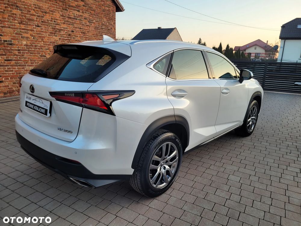Lexus NX 300 Business Edition AWD - 10