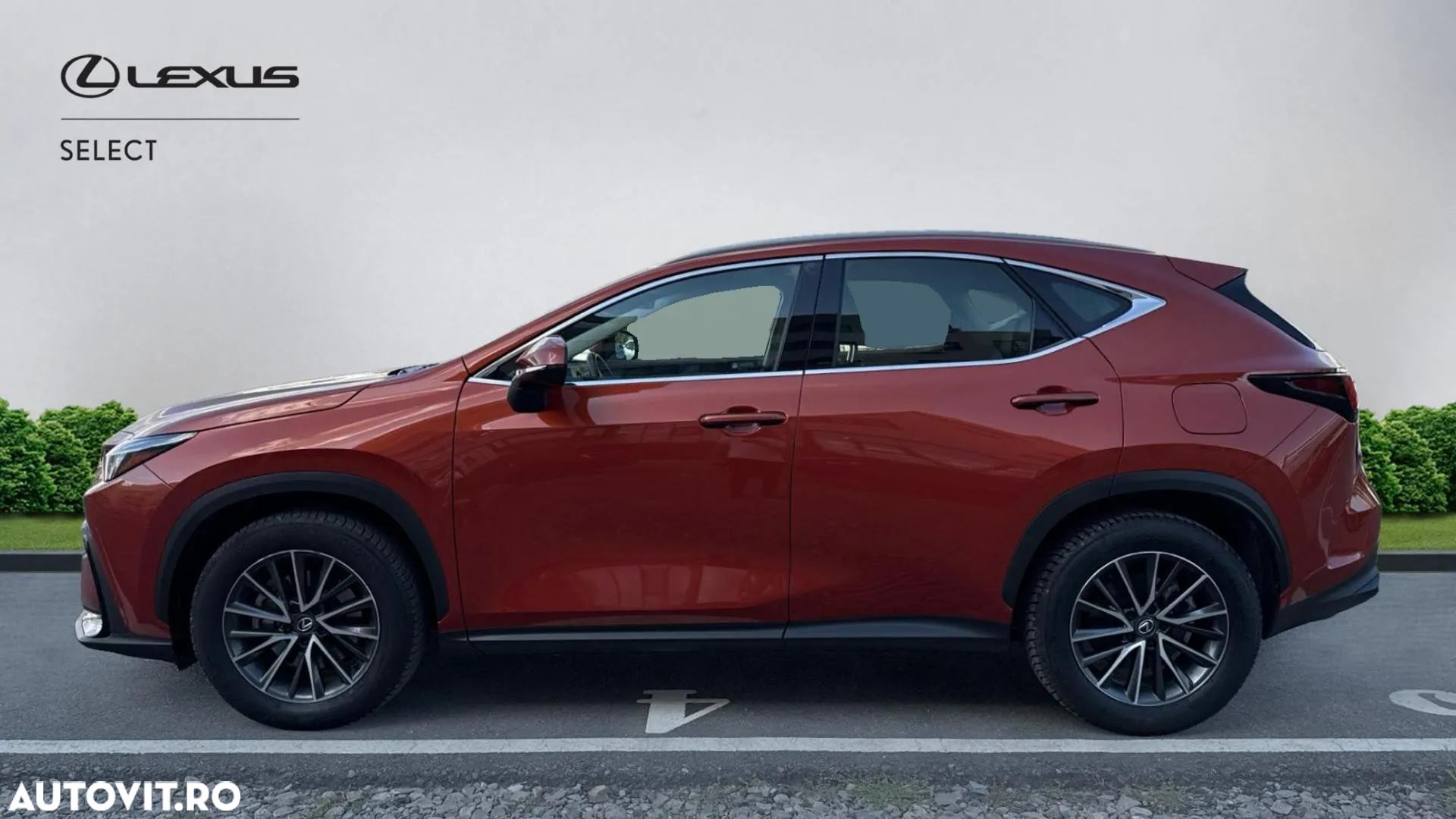 Lexus Seria NX 350h AWD CVT HEV Business - 5